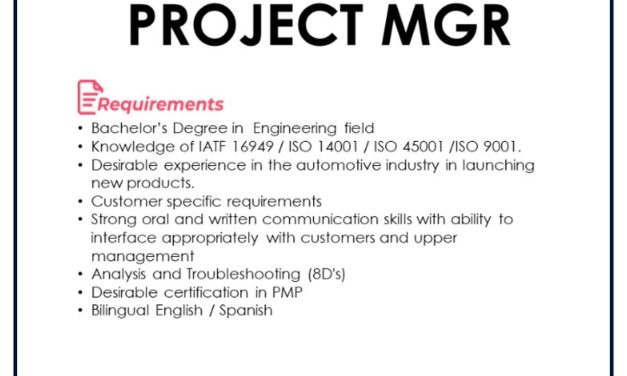 VACANTE PROJECT MGR